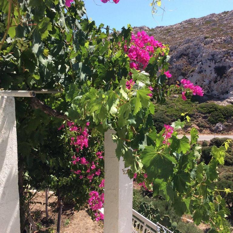 La Villa Di Zazopetra Menetaí Eksteriør billede